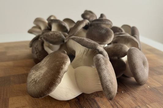Close-up of a cluster of mushrooms with a blurred indoor background